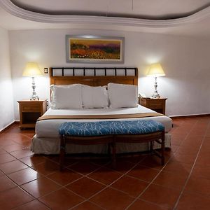 Suite con Cama King