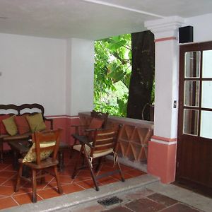 Suite Junior